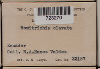 Image Associated With the Occurence